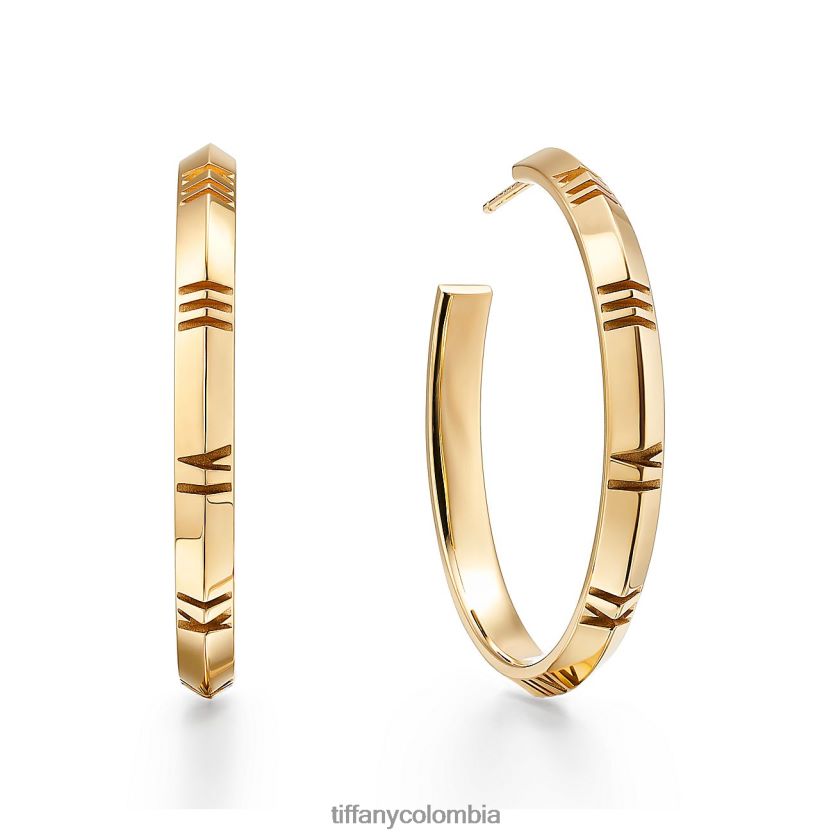 Tiffany x pendientes de aro unisexo 2J40B8762 joyas en oro amarillo, grande