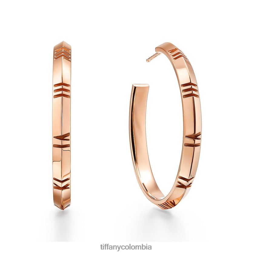 Tiffany x pendientes de aro unisexo 2J40B8857 joyas en oro rosa, grande